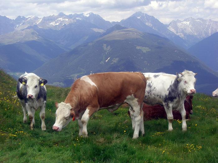Bad Bergfallerhof Olang Екстер'єр фото