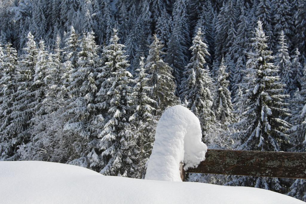 Bad Bergfallerhof Olang Екстер'єр фото